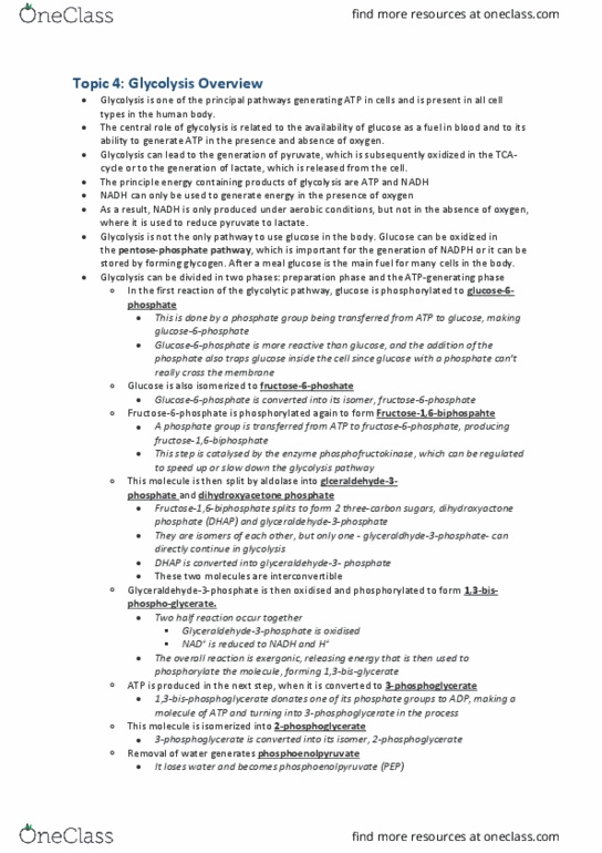 BIOL2171 Lecture Notes - Lecture 4: Dihydroxyacetone Phosphate, Phosphoenolpyruvic Acid, Citric Acid Cycle thumbnail