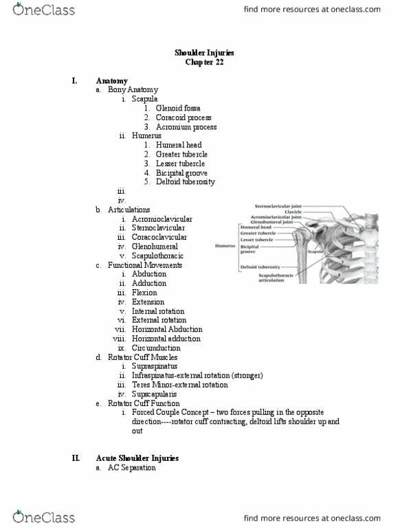 ATH 1061 Lecture Notes - Lecture 22: Deltoid Tuberosity, Lesser Tubercle, Upper Extremity Of Humerus thumbnail