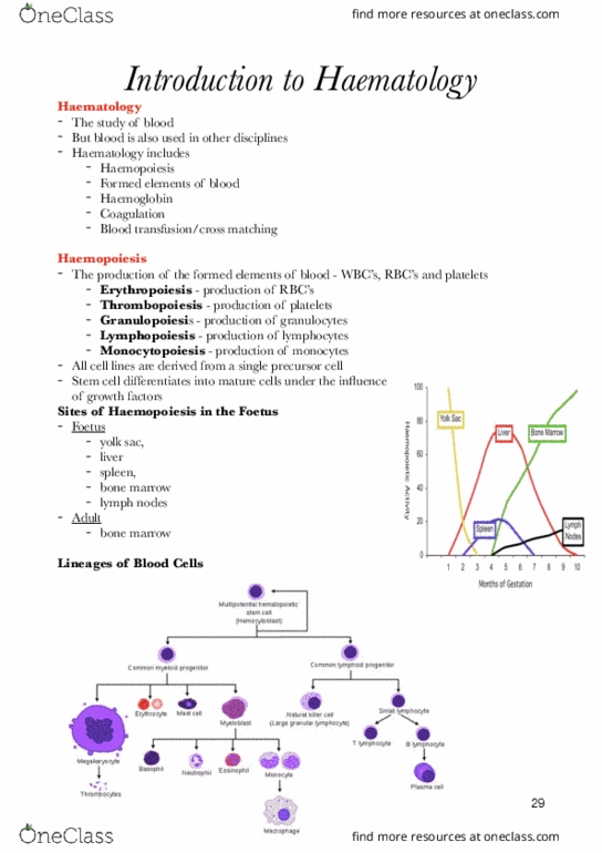 case study in hematology and coagulation