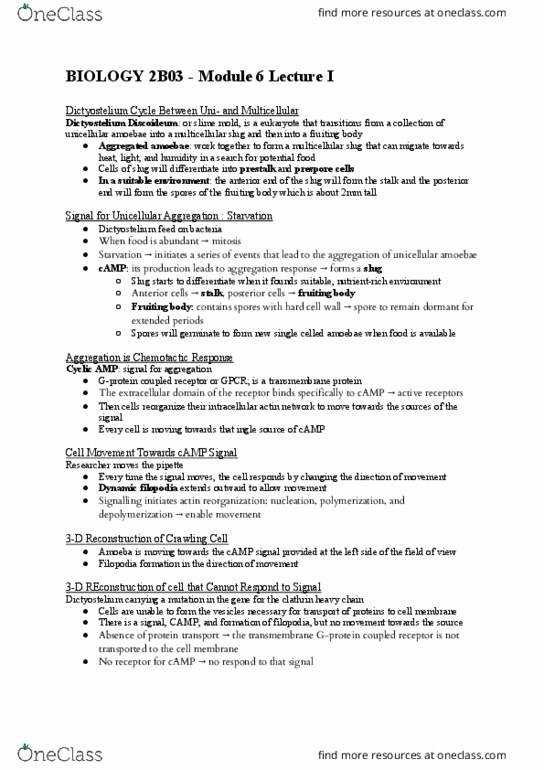 BIOLOGY 2B03 Chapter Notes - Chapter 6: Filopodia, Transmembrane Protein, Cell Signaling thumbnail