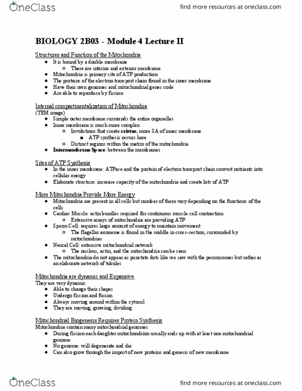 BIOLOGY 2B03 Chapter Notes - Chapter 4: Inner Membrane, Intermembrane Space, Axoneme thumbnail