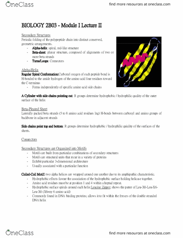 BIOLOGY 2B03 Chapter 1: BIO2B03 - Module 1 Lecture II thumbnail