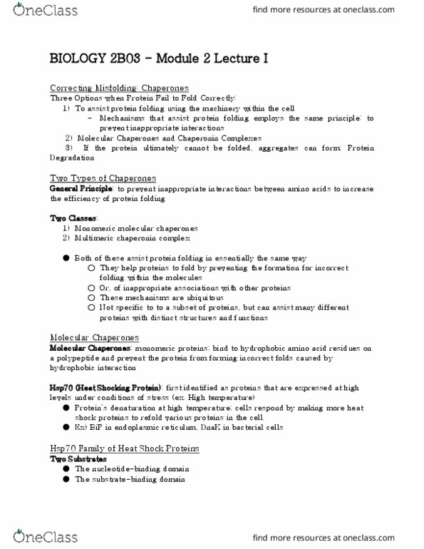 BIOLOGY 2B03 Chapter Notes - Chapter 2: Endoplasmic Reticulum, Chaperonin, Protein Folding thumbnail