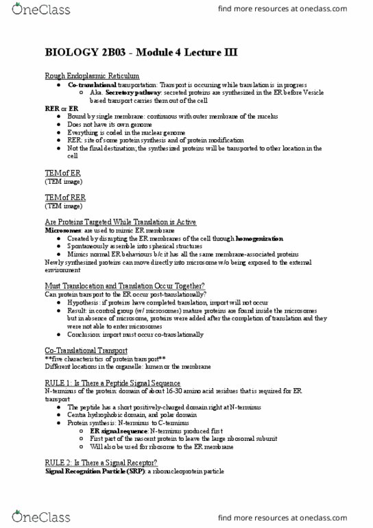 BIOLOGY 2B03 Chapter Notes - Chapter 4: Microsome, Secretion, Ribonucleoprotein thumbnail