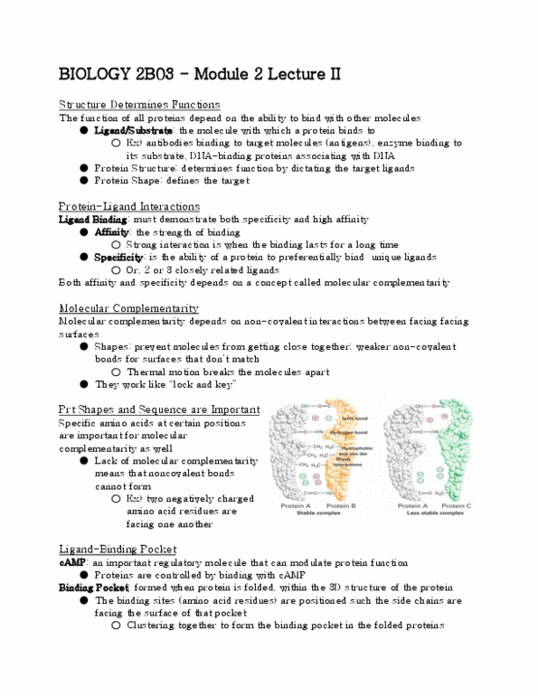 BIOLOGY 2B03 Chapter 2: BIO2B03 - Module 2 Lecture II thumbnail