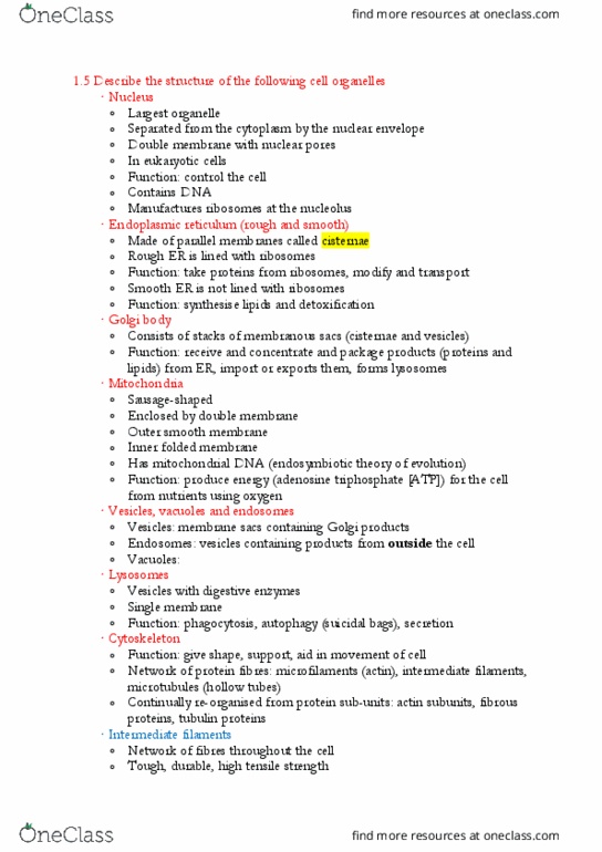 BMSC101 Lecture Notes - Lecture 2: Adenosine Triphosphate, Intermediate Filament, Endoplasmic Reticulum thumbnail