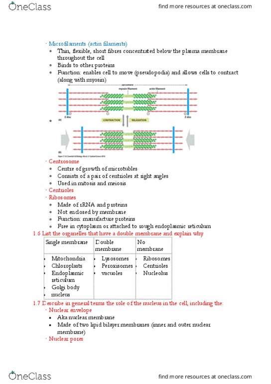 BIOL123 Lecture Notes - Lecture 3: Nuclear Membrane, Lipid Bilayer, Cell Membrane thumbnail