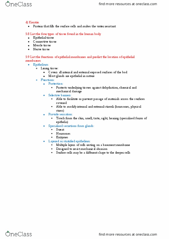 BIOL123 Lecture Notes - Lecture 19: Epithelium, Muscle Tissue, Connective Tissue thumbnail