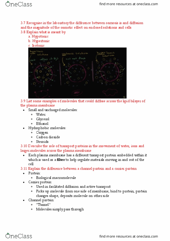 BIOL123 Lecture Notes - Lecture 12: Membrane Transport Protein, Cell Membrane, Lipid Bilayer thumbnail