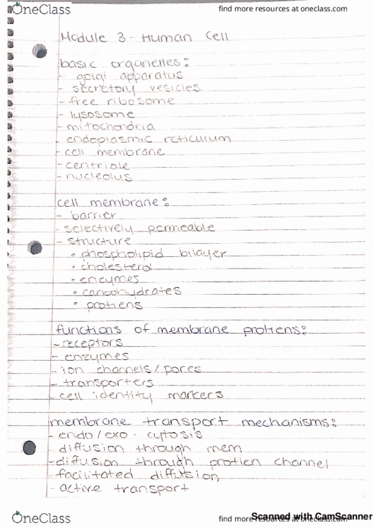 Physiology 2130 Lecture 3: module 3 thumbnail