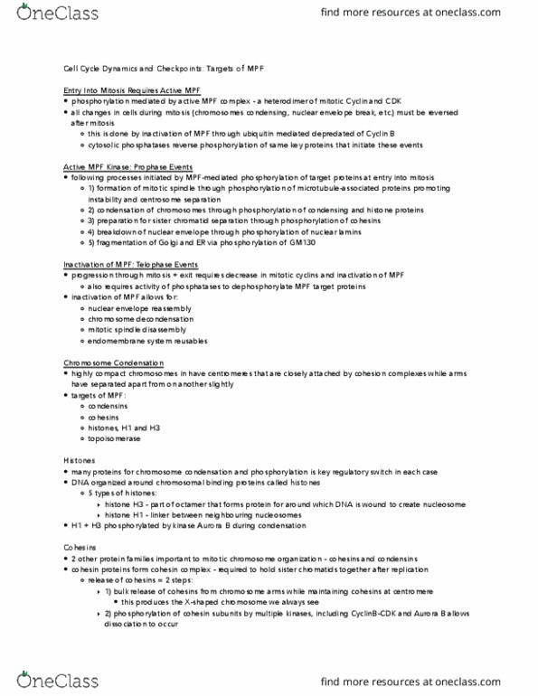 BIOLOGY 2B03 Lecture Notes - Lecture 22: Histone H3, Histone H1, Spindle Apparatus thumbnail