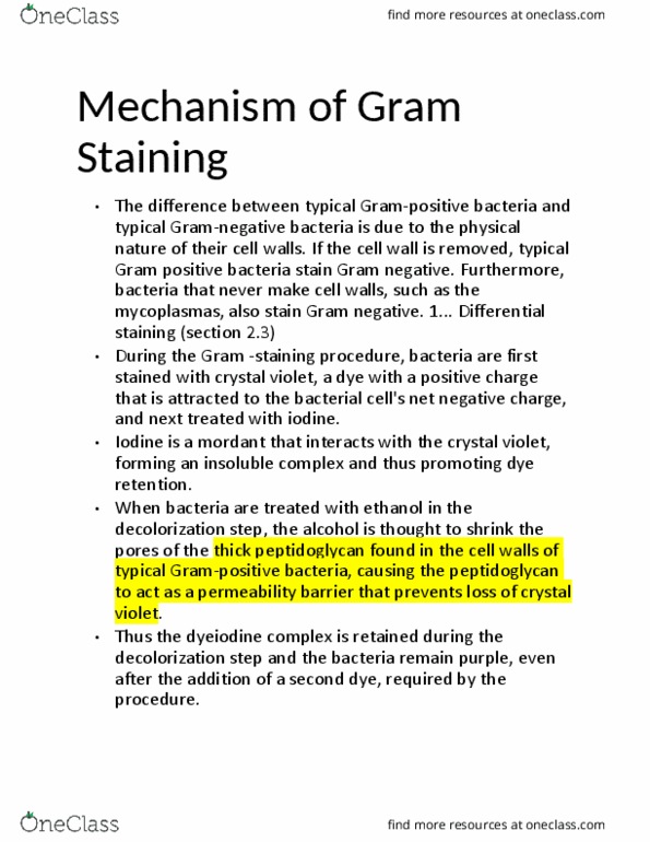 BISC 303 Chapter Notes - Chapter 3: Gram Staining, Crystal Violet, Gram-Negative Bacteria thumbnail