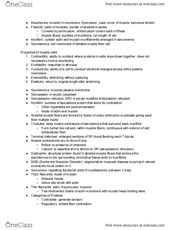 BIO 264 Lecture Notes - Lecture 5: Endoplasmic Reticulum, Sarcolemma, Cell Membrane thumbnail