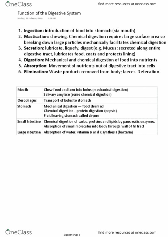 HUMB1000 Lecture Notes - Lecture 3: Esophagus, Large Intestine, Vitamin K thumbnail
