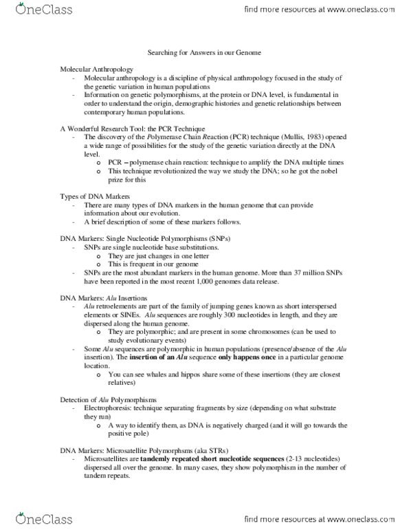 ANT203H5 Lecture Notes - Lecture 17: Polymerase Chain Reaction, Human Genome Project, Alu Element thumbnail