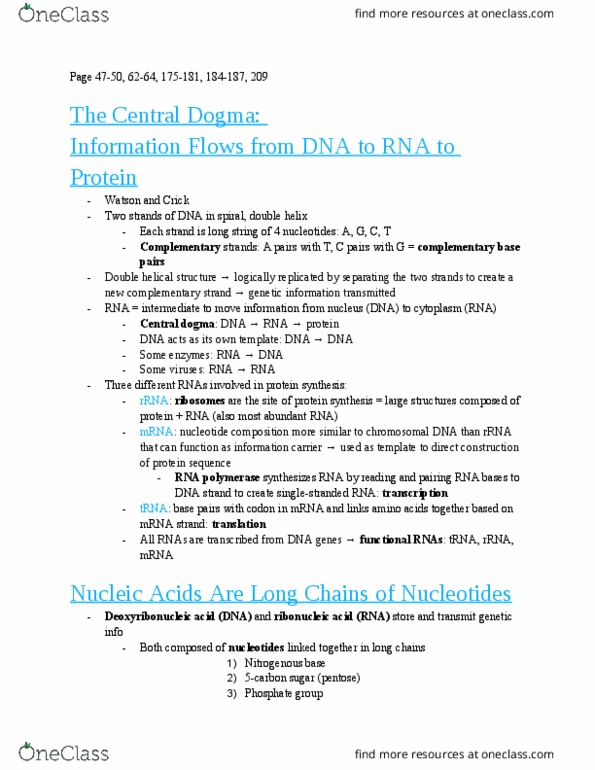 BIO SCI 98 Chapter Notes - Chapter 1: Ribosomal Rna, Transfer Rna, Pentose thumbnail