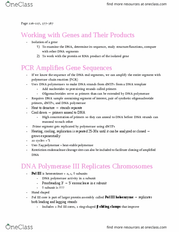 BIO SCI 98 Chapter Notes - Chapter 5: Dna Polymerase Iii Holoenzyme, Dna Clamp, Dna Replication thumbnail