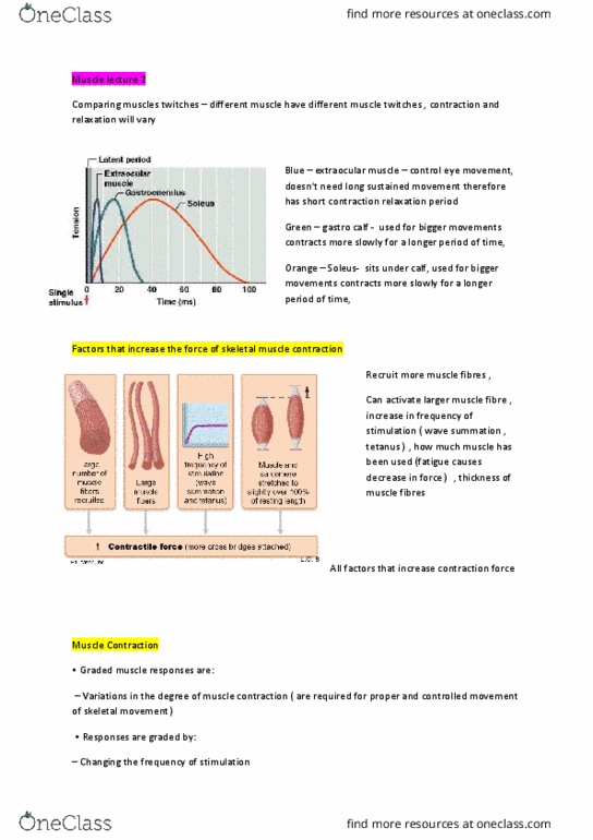 9808 Lecture Notes - Lecture 6: Extraocular Muscles, Skeletal Muscle, Muscle Fatigue thumbnail