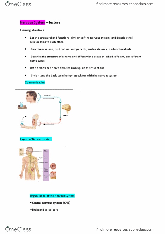 9808 Lecture Notes - Lecture 7: Enteric Nervous System, Somatic Nervous System, Multipolar Neuron thumbnail