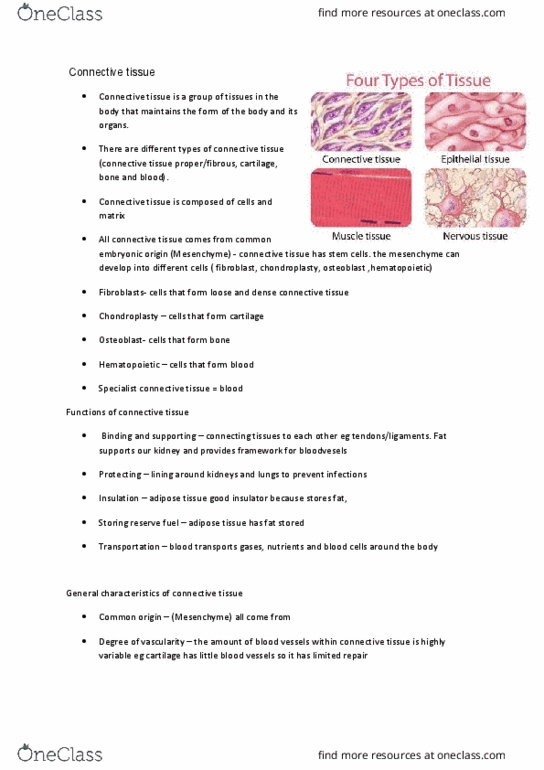 9808 Lecture Notes - Lecture 3: Elastic Cartilage, Loose Connective Tissue, Ground Substance thumbnail