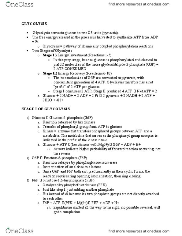 CHE 350 Lecture Notes - Lecture 8: Aldose, Citric Acid Cycle, Glycogen thumbnail