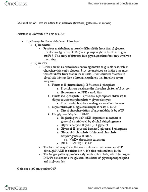 CHE 350 Lecture Notes - Lecture 9: Phosphoglucomutase, Glycerophospholipid, Fructose-Bisphosphate Aldolase thumbnail