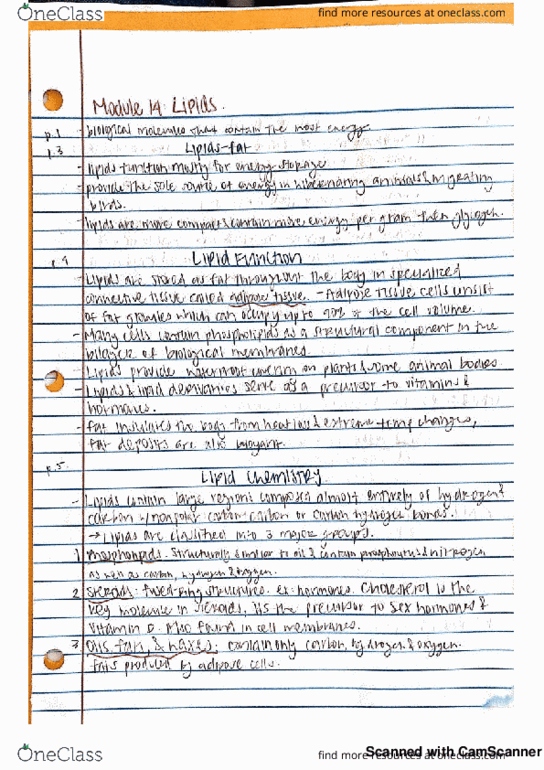 BIOL 100 Chapter 14: M14 lipids thumbnail