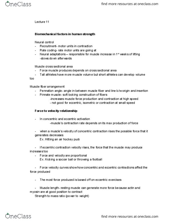 EHS 230 Lecture Notes - Lecture 10: Pinnation, Hockey Puck, Myocyte thumbnail