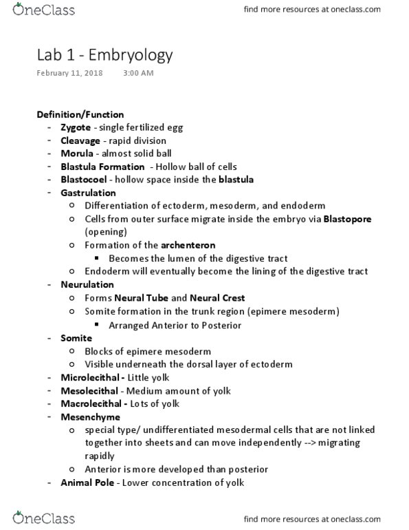 Biol Study Guide Spring Midterm Yolk Sac Somite Blastula