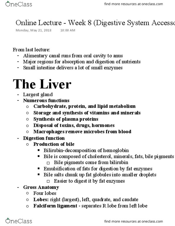 NURS 301 Lecture Notes - Lecture 8: Portal Vein, Falciform Ligament, Lobes Of Liver thumbnail