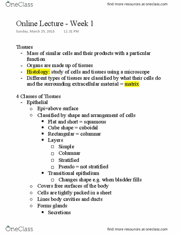 NURS 301 Lecture Notes - Lecture 1: Transitional Epithelium, Free Surface, Histology thumbnail