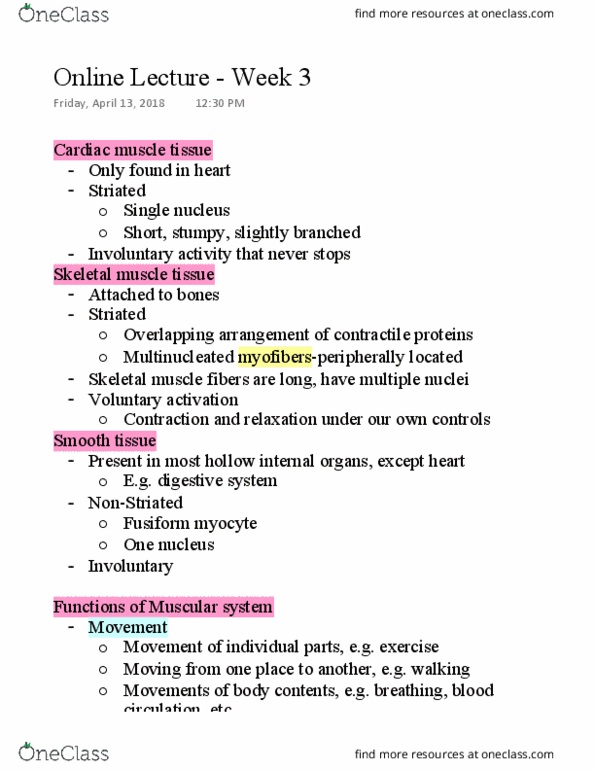 NURS 301 Lecture Notes - Lecture 3: Skeletal Muscle, Cardiac Muscle, Muscle Tissue thumbnail