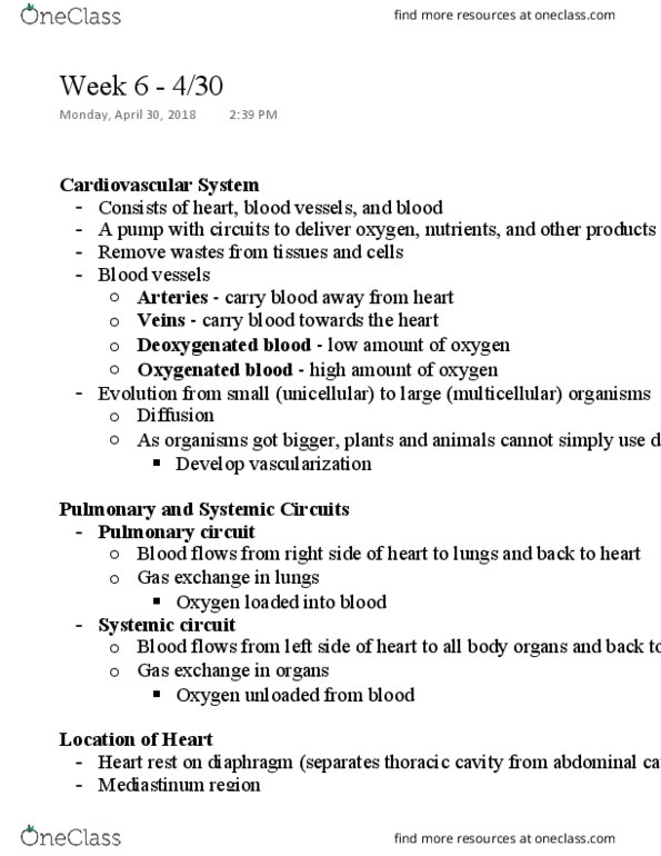 NURS 301 Lecture Notes - Lecture 6: Thoracic Cavity, Abdominal Cavity, Pulmonary Artery thumbnail