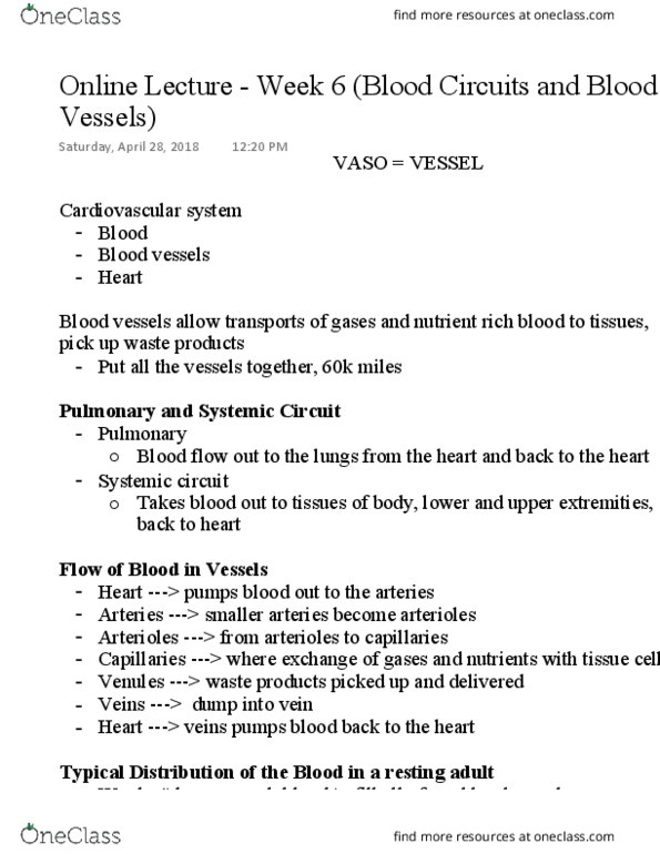 NURS 301 Lecture Notes - Lecture 6: Theca Interna, Tunica Externa, Simple Squamous Epithelium thumbnail