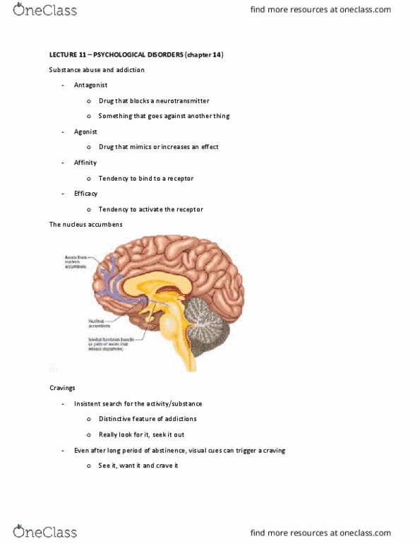 7120 Lecture Notes - Lecture 11: Cognitive Behavioral Therapy, Nucleus Accumbens, Drug Tolerance thumbnail
