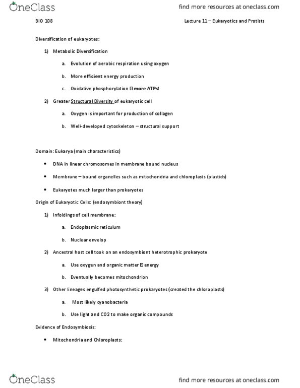 BIOL108 Lecture Notes - Lecture 11: Endoplasmic Reticulum, Oxidative Phosphorylation, Protist thumbnail
