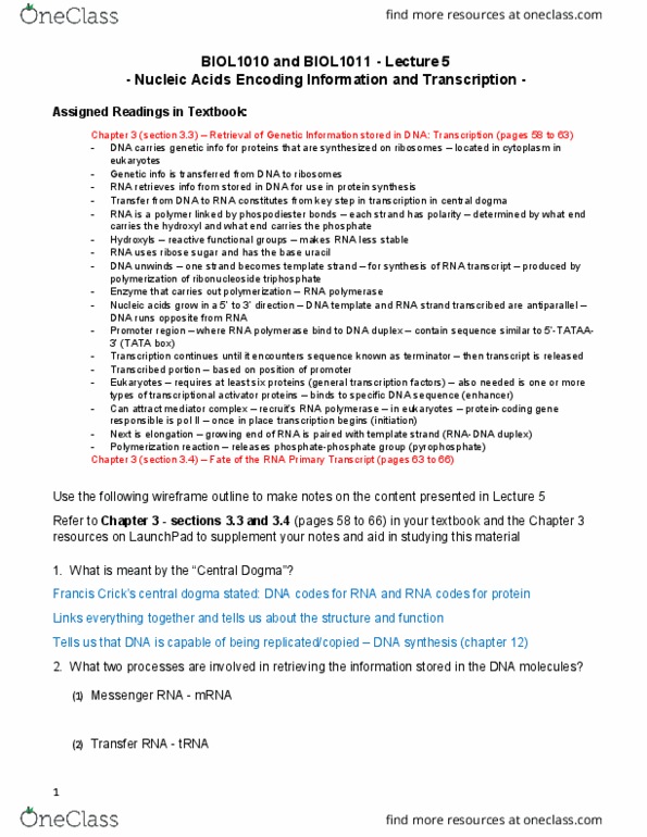 BIOL 1010U Lecture Notes - Lecture 5: Messenger Rna, Central Dogma Of Molecular Biology, Transfer Rna thumbnail