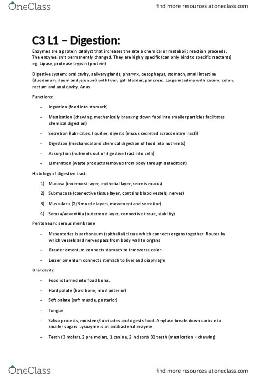 HUMB1000 Lecture Notes - Lecture 3: Duodenum, Ileum, Portal Vein thumbnail