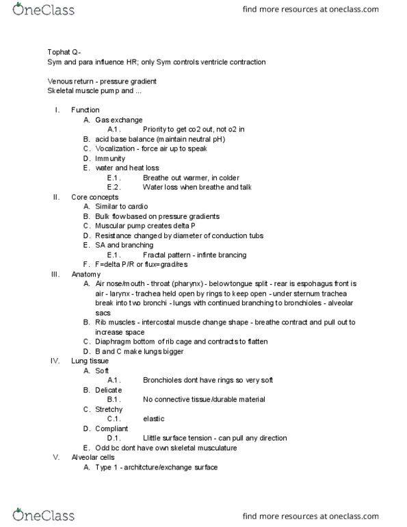 CAS BI 315 Lecture Notes - Lecture 12: Bronchus, Fractal, Pulmonary Pleurae thumbnail