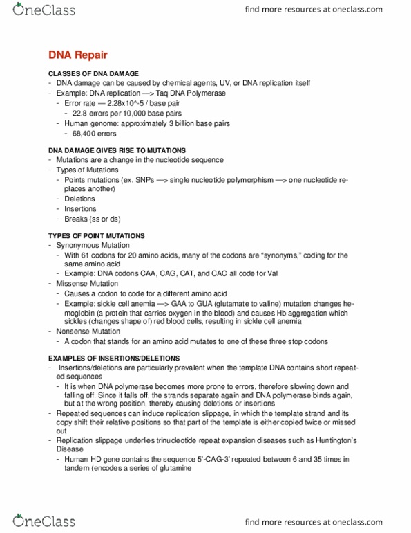 BCEM 393 Lecture Notes - Lecture 15: Adenine, Ethidium Bromide, Dna Mismatch Repair thumbnail