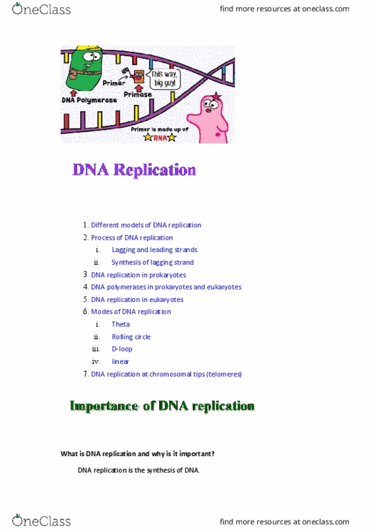 BIO282 Lecture Notes - Lecture 24: Telomerase, Nuclear Dna, Dna Supercoil thumbnail