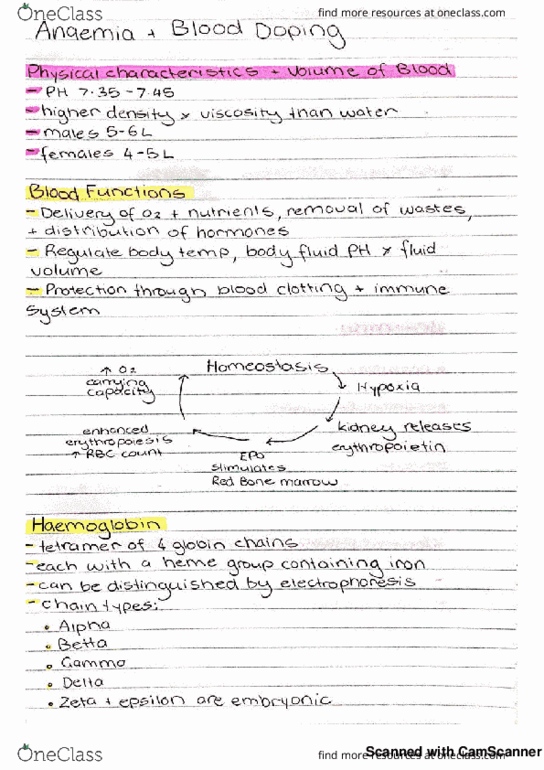 BIO1206 Lecture 6: anaemia and blood doping thumbnail