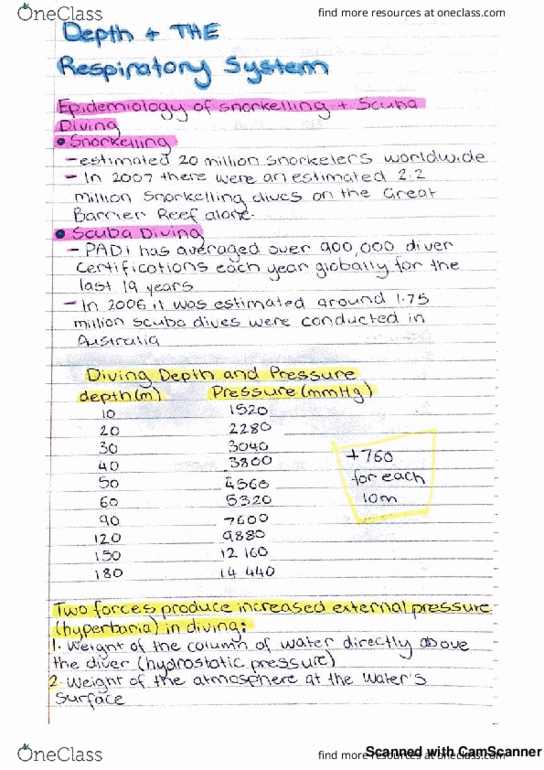 BIO1206 Lecture 12: respiratory system at depth thumbnail
