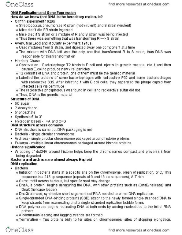 BIOLOGY 2EE3 Lecture Notes - Lecture 7: Prokaryotic Large Ribosomal Subunit, Prokaryotic Small Ribosomal Subunit, Chloramphenicol thumbnail