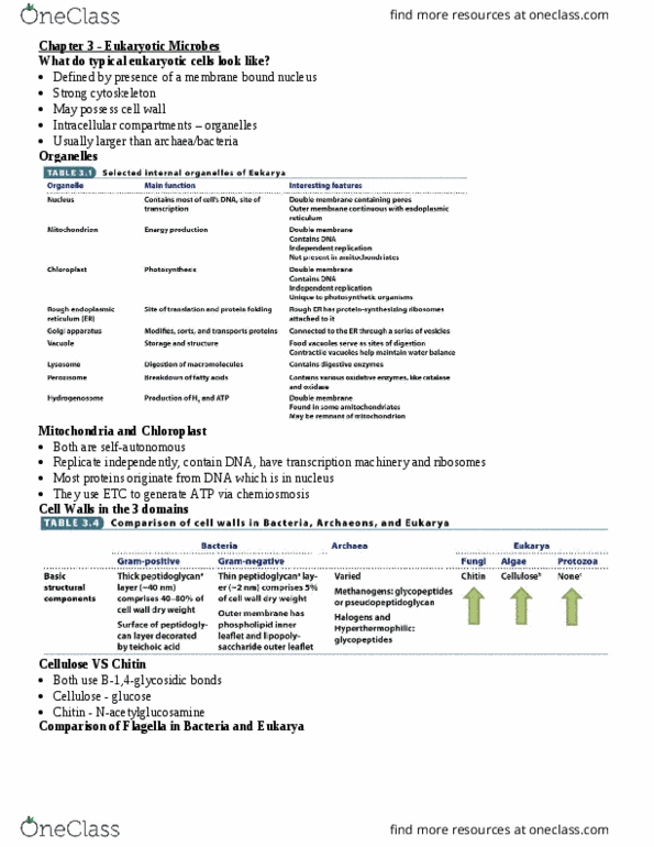BIOLOGY 2EE3 Lecture Notes - Lecture 3: Chlamydomonas, Cyanobacteria, Tetrahymena thumbnail