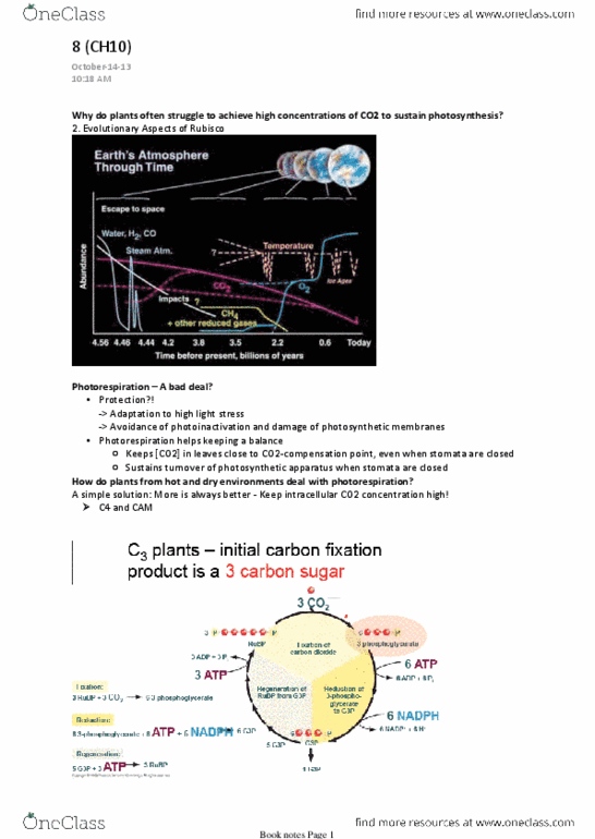 BIO203H5 Lecture Notes - Lecture 8: C4 Carbon Fixation, Carbon Fixation, Light-Independent Reactions thumbnail