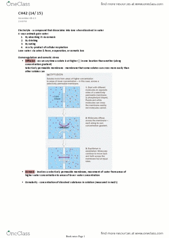 BIO203H5 Chapter Notes - Chapter 4: Malpighian Tubule System, Electrochemical Gradient, Osmotic Shock thumbnail