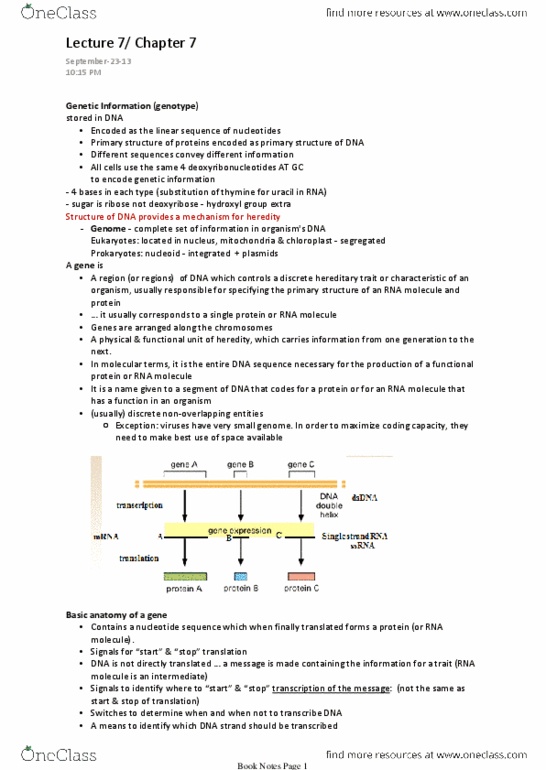 BIO206H5 Lecture Notes - Lecture 7: Start Codon, Coding Strand, Methionine thumbnail