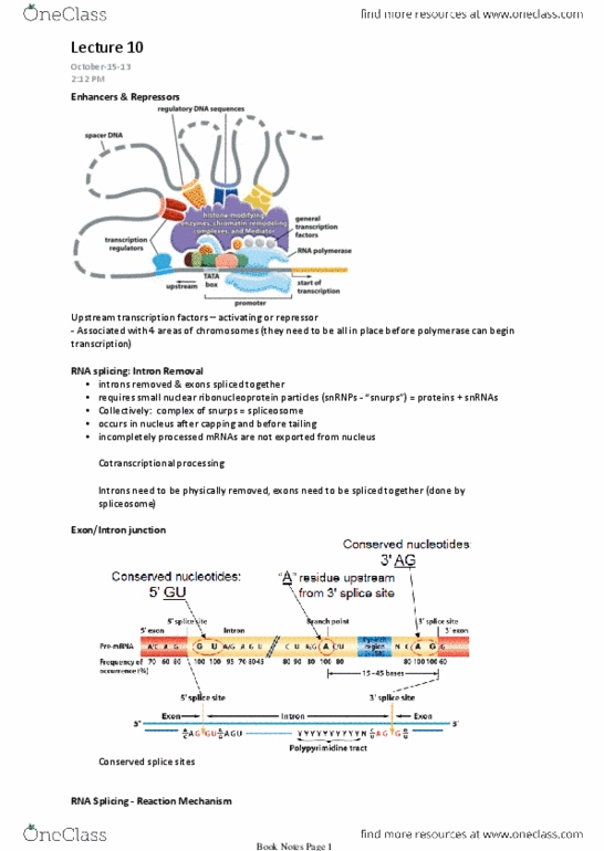BIO206H5 Lecture Notes - Lecture 10: Exon Junction Complex, Rna Splicing, Nuclear Pore thumbnail