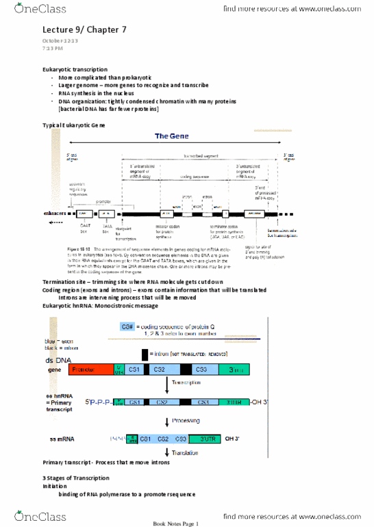 BIO206H5 Lecture Notes - Lecture 9: Caat Box, Tata Box, Eukaryotic Transcription thumbnail